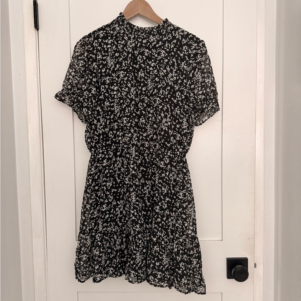 Francesca's Collections Black and White Mini Dress